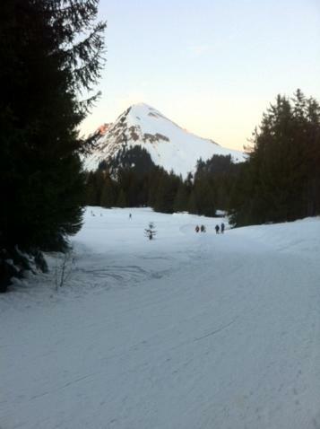 Terrasses Du Mont Blanc Lägenhet Praz de Lys Exteriör bild